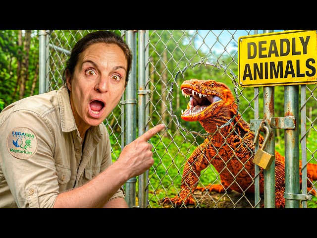 Feeding Most Dangerous Animals at The Zoo!