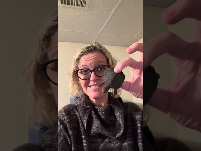 This is my BOLO Garage Sale Flip