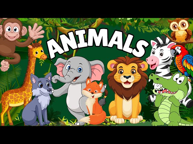 Learn to Count with Animals | Wild Animals | Zoo Animals | Animals for Kids | Toddlers Education
