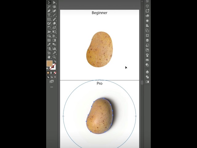 Master Adobe Illustrator from Beginner to Pro!