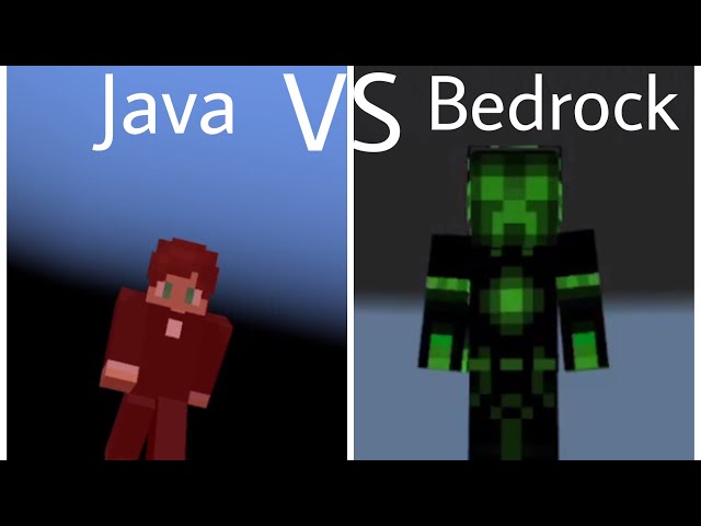 Java vs Bedrock Void