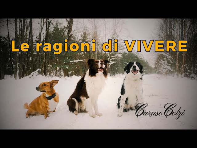 Two-Dimensionality and Three-Dimensionality - #innerfreedom