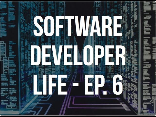 Software Developer Life - Ep. #6 - Types of Work