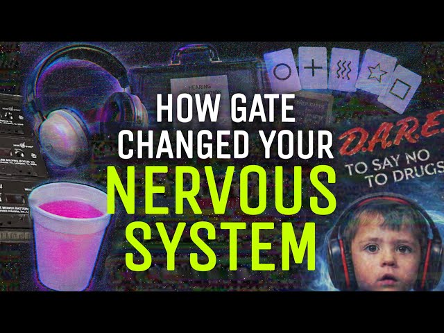 How the GATE Program Rewired Your Nervous System (Why You Feel Different)