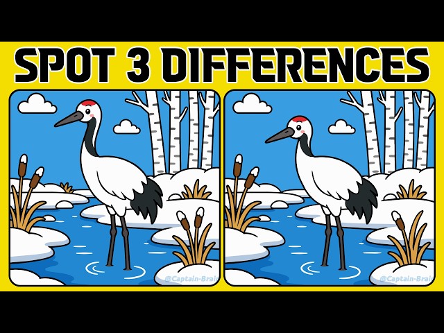 Spot the Difference: Can You Spot Them All? 🧠 (Normal)
