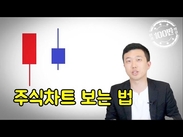 주린이를 위한 기초 차트 보는 법(놀면뭐하니 주식공부하자)