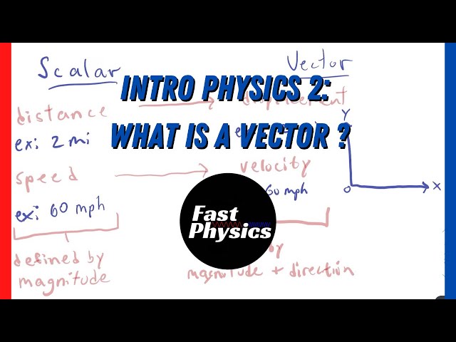 What is the Difference Between Scalars and Vectors? | Intro Physics #2