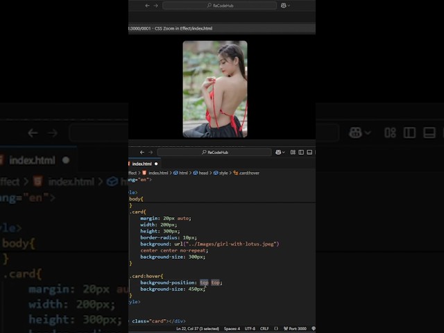 Get PROFESSIONAL Results with CSS Zoom Effect | ReCodeZone0001