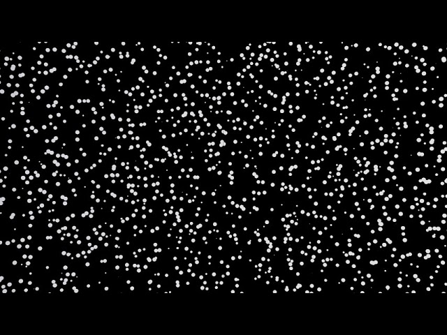 vection ランダムドット（上）