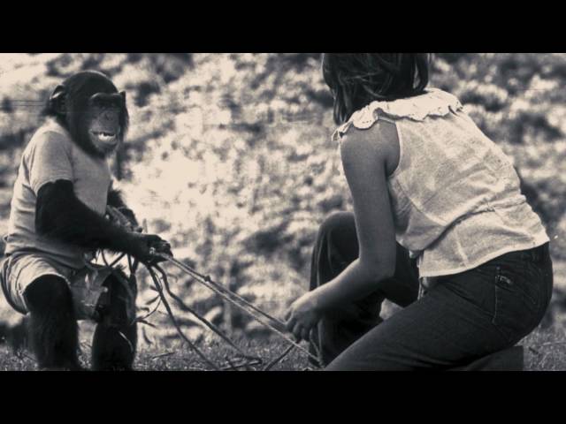 Project Nim - Trailer