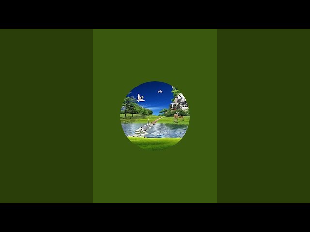 Beauty Of Pakistan is live!
