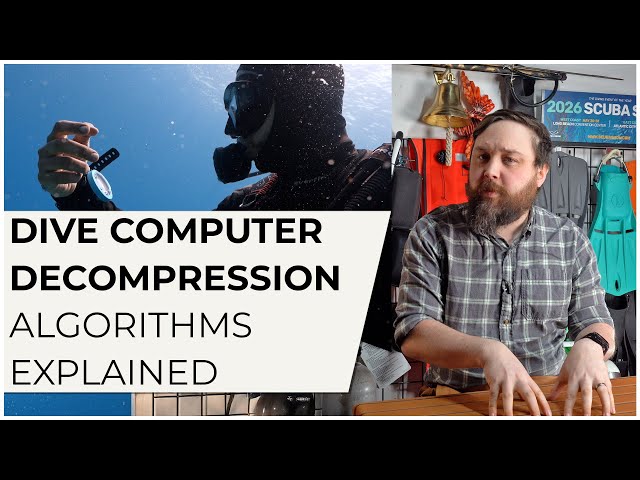 Dive Computer Decompression Algorithms Explained. Bühlmann | RGBM | Pelagic Z+ | DSAT