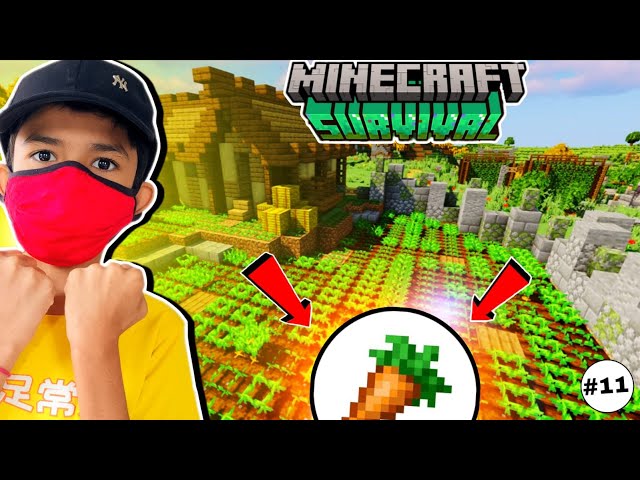 BIGGEST CARROT FARM | MINECRAFT SURVIVAL EP-11