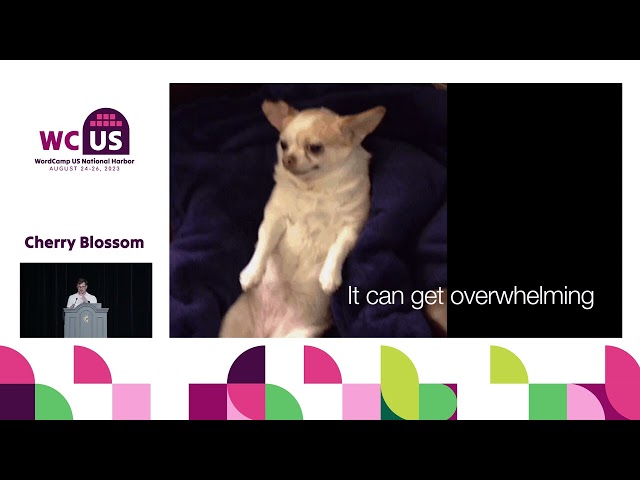 From Comfort Zone to Cutting Edge: Embracing Lean Principles in Front-End Projects