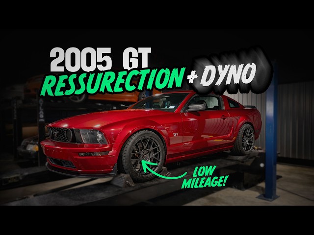 Low Mileage, Tune Only 2005 Mustang GT Makes Great Power on the Dyno