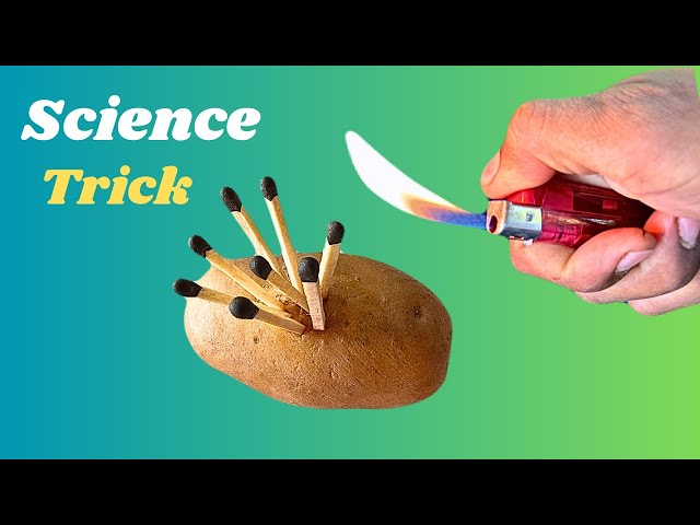 Science Experiment Anyone Can Do..