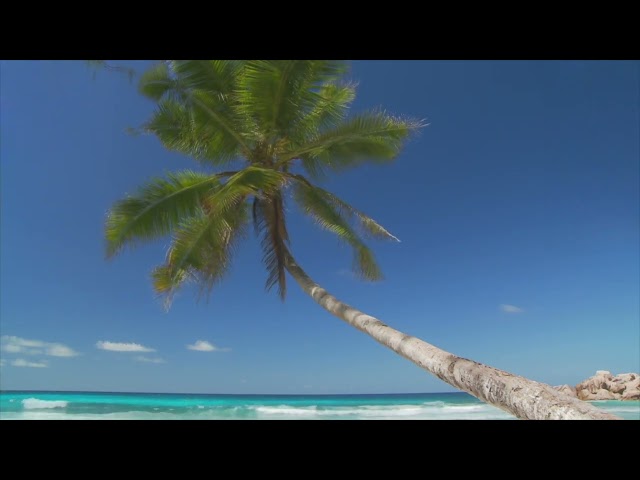 Paradise Escape | 432Hz Healing Music for Deep Relaxation, Sleep, Meditation & Letting Go