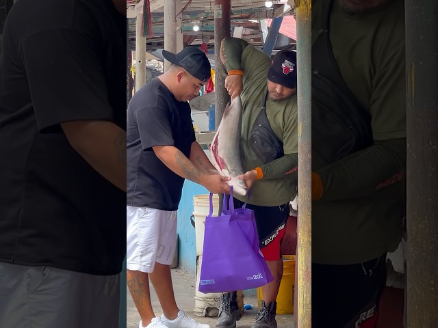 El pez se perdió 😂