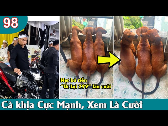 Top Comment Mới Nhất - Những Thằng Ngu Nhất Hành Tinh Cười Vỡ Bụng 2026 Phần 98