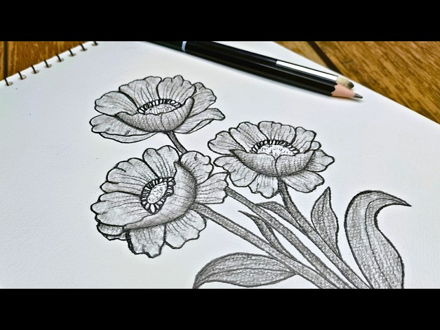 How to Draw & Shade Realistic Poppies | Step-by-Step Pencil Art Tutorial