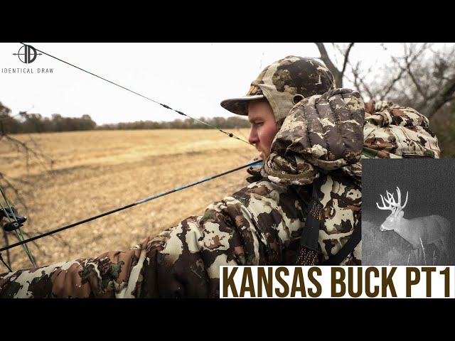 Kansas Buck Pt1- Identical Draw