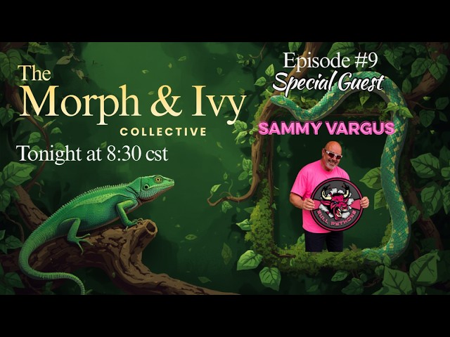 LIVE with Sammy Vargas of Bull Pythons | The Morph & Ivy Collective