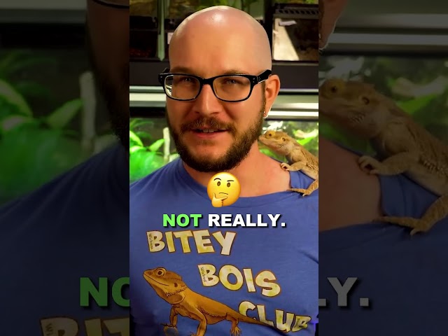 Why some snakes can't be pets in Florida