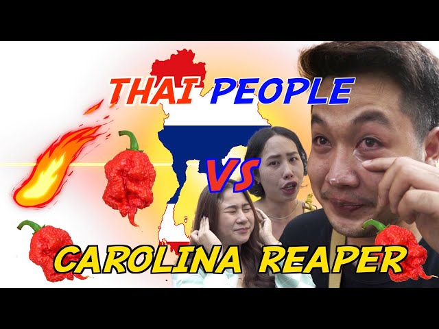 Thai People vs CAROLINA REAPER Chilli Challenge in Phuket, Thailand
