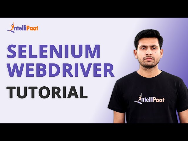 Selenium Webdriver Tutorial | What is Selenium | Selenium Tutorial For Beginners | Intellipaat