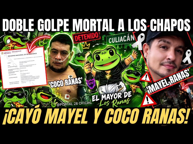 FAMOUS "COCO RANAS" taken down during OPERATION in Culiacán