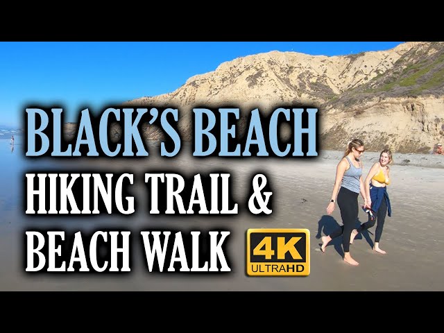 {4K} BLACKS BEACH Walk & Hiking Trail, San Diego, California, BEST Nudist Beaches USA
