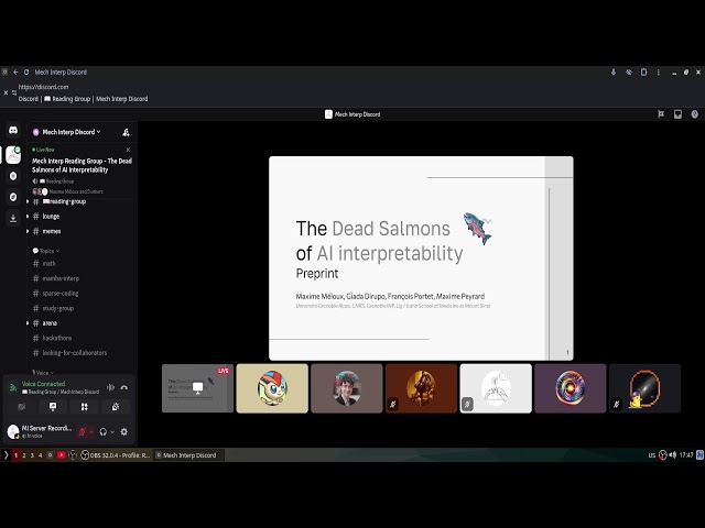 Mech Interp Reading Group -  The Dead Salmons of AI Interpretability
