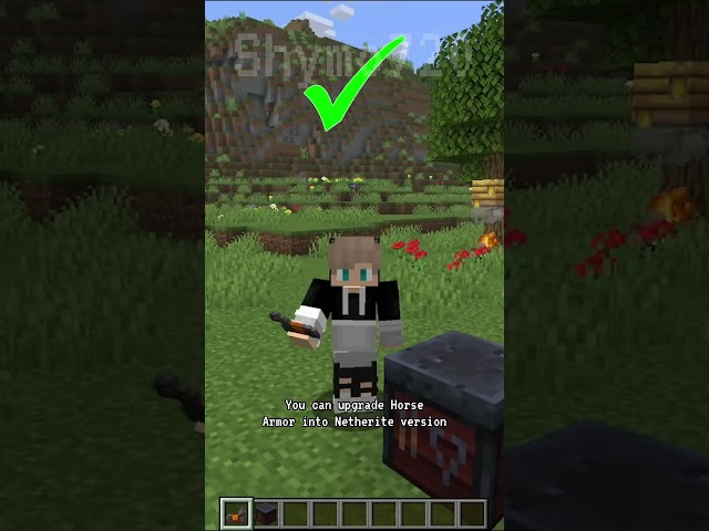 Myth or Fact: Minecraft