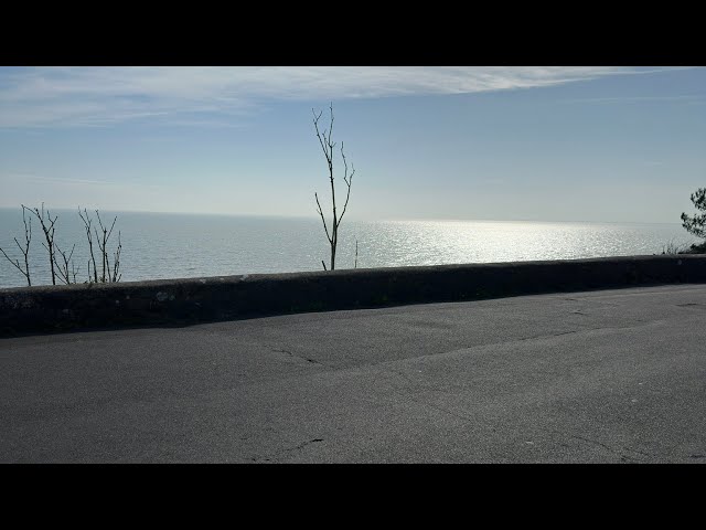Folkestone-endless beauty. Nature- birds- flowers- water all in one place #uk #travel #nature