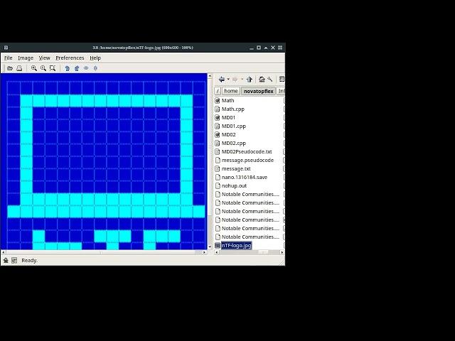 X File Image Tour for UNIX