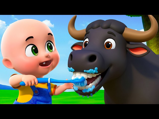 Baby Buffalo Song New Compilation | Old MacDonald in Farm | Baby Cartoon & Kids Songs Baby Bobo