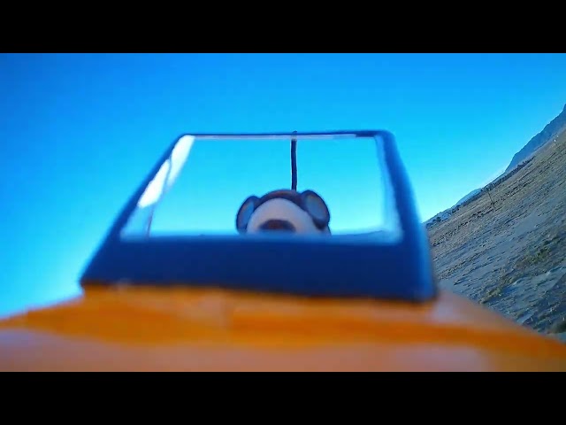 Dynam Waco onboard footage