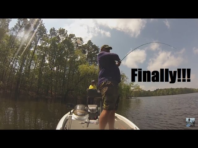 Bass Fishing Random Lake