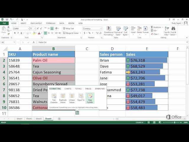 [3.11] - Microsoft Excel Tutorial - Copy and remove conditional formatting