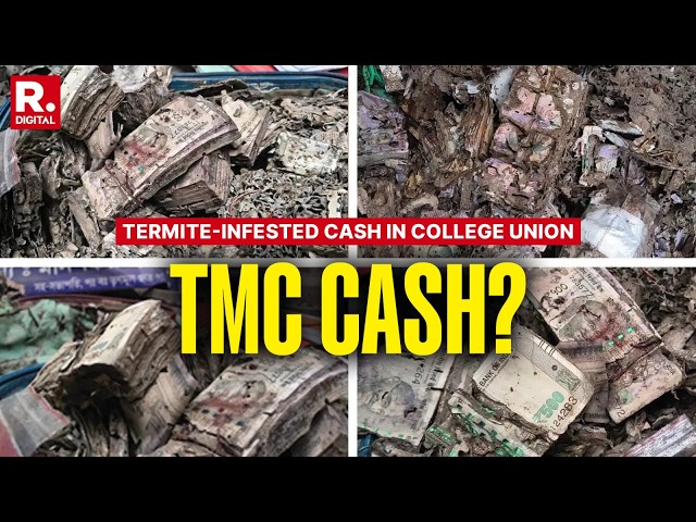Termite-Infested Cash In College Union: Lakhs In Bags, TMC Under Fresh Fire | Exclusive Report