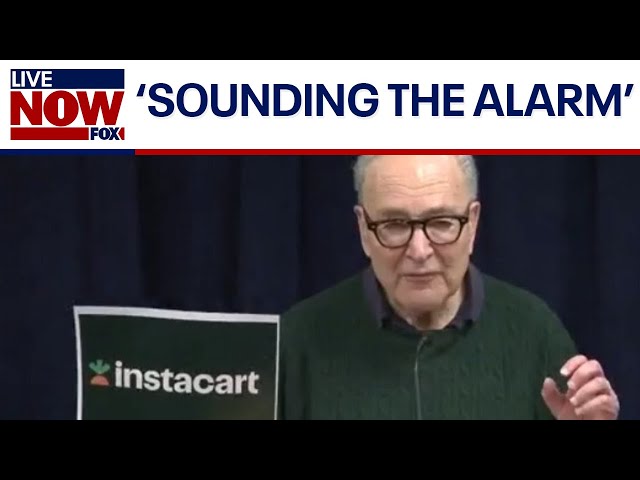Schumer demands action on AI price gouging