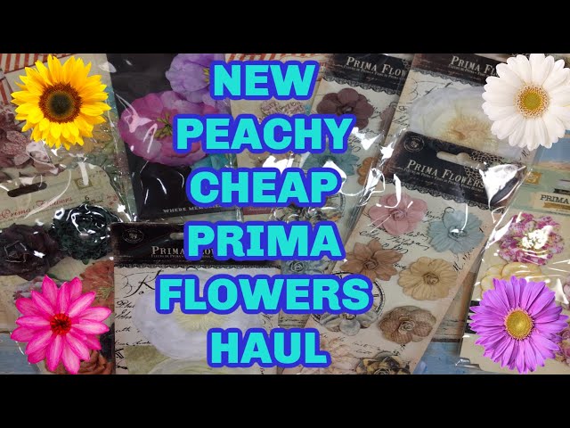 HUGE PEACHY CHEAP PRIMA FLOWERS HAUL