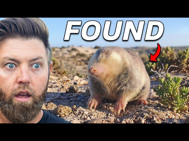 5 More Extinct Animals Found in the Last 15 Years