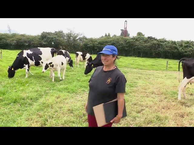 Cómo certificarse en BPG - La Finca de Hoy