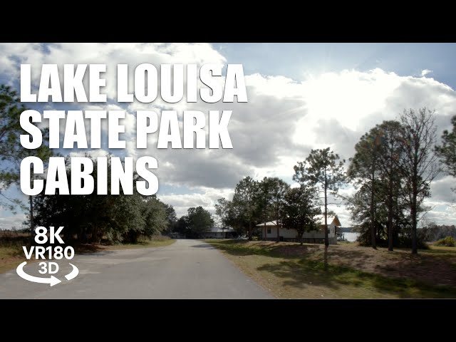 Lake Louisa State Park Cabins Loop VR180 8K 3D | Florida Cabins Scenic Glamping | VR视频 8K 3D動画 VR旅行