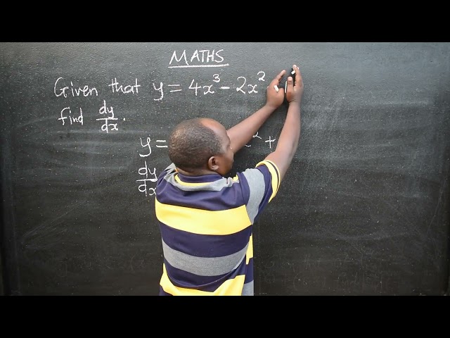 MATHS 2024 GCE P1 CALCULUS