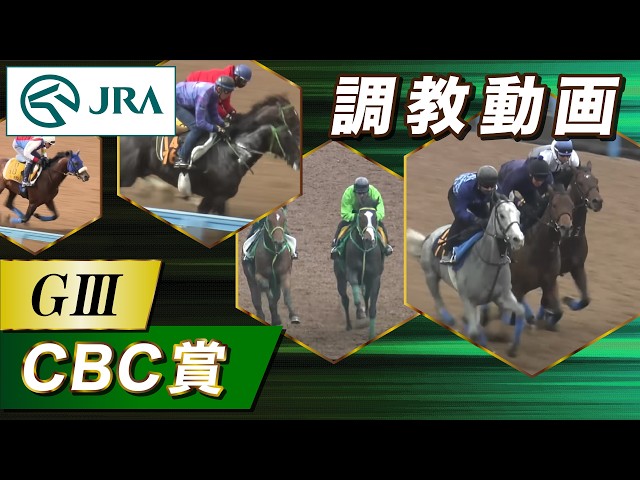 【調教動画】2026年 CBC賞｜JRA公式