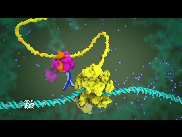 These 3D animations could help you finally understand molecular science