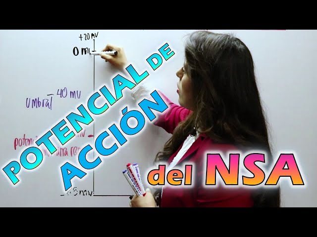 POTENCIAL DE ACCIÓN DEL NÓDULO SINUSAL / AUTOMATISMO