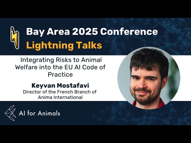 The EU AI Code of Practice | Keyvan Mostafavi | Anima International